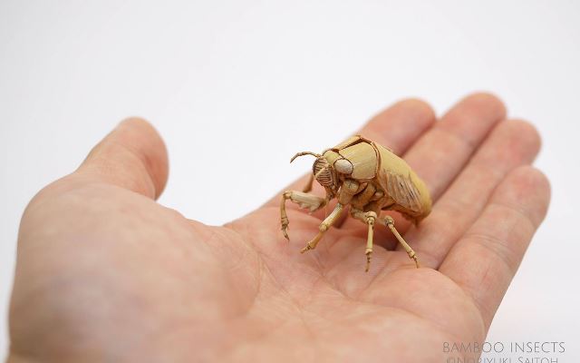 Подробнее о статье Очень реалистичные насекомые, созданные из бамбука