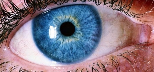 Вы сейчас просматриваете Как видят люди с разными нарушениями зрения?
