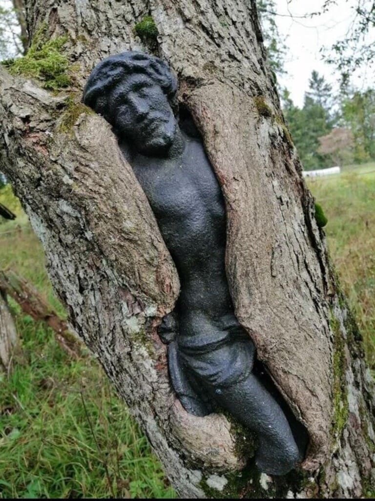 Дерево захватило статую