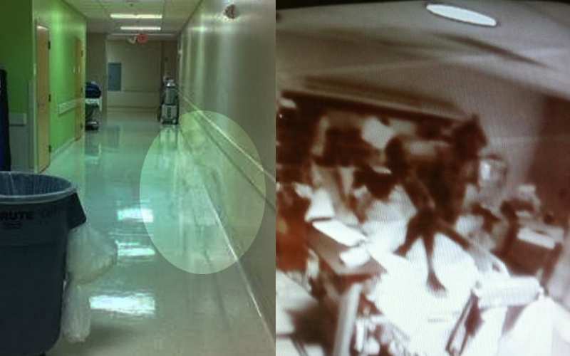 You are currently viewing Больничные ужасы, или что бродит ночью по коридорам мед. учреждений?