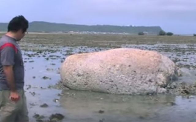 Подробнее о статье Действительно странные вещи, которые были найдены на берегу
