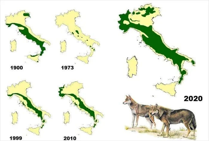 Распространение волков в Италии