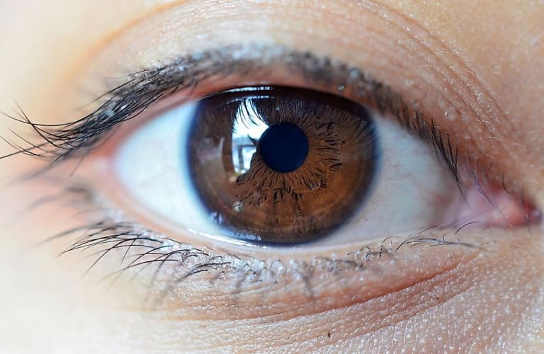 Подробнее о статье Население мира по процентному соотношению цвета глаз