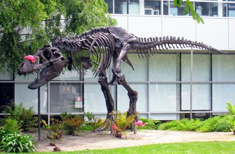T-Rex at the Google Offices